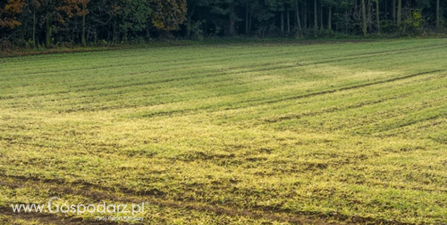 W 2015 r. ANR nabyła ponad 1200 ha gruntów rolnych