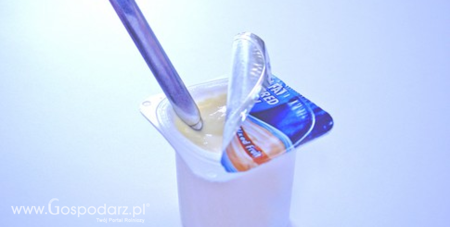 Wzrost eksportu jogurtów z Polski w pierwszej połowie 2013 r.