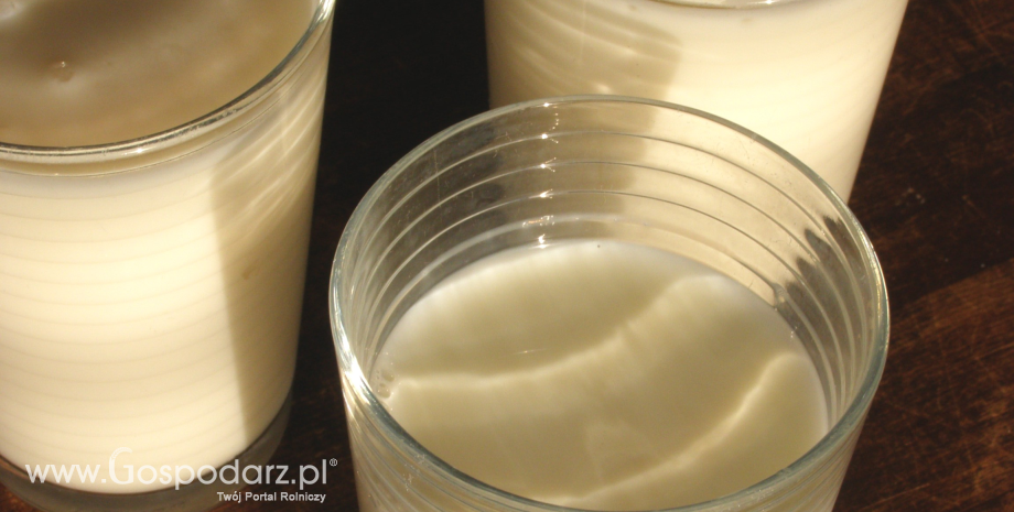 Sytuacja cenowa na rynku mleka, masła i OMP w Polsce