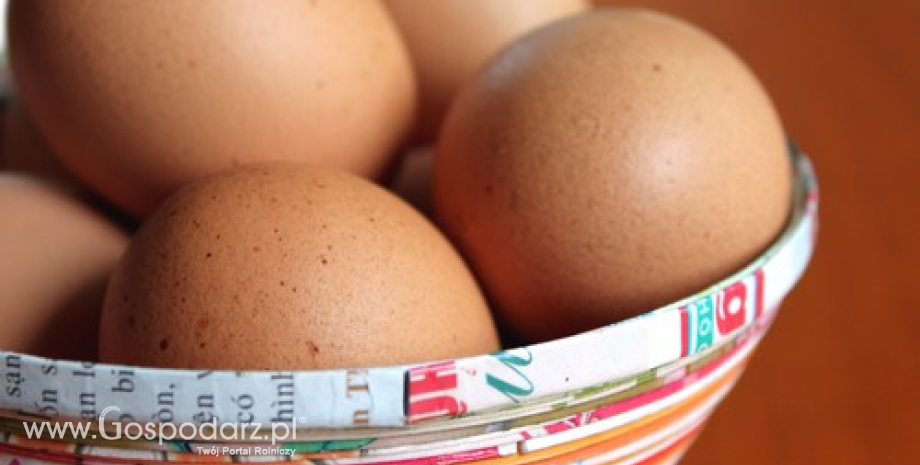Spadek cen jaj spożywczych w UE (IV 2014)