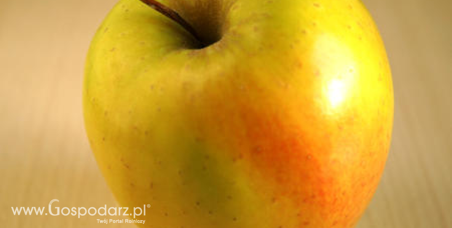 Wysokie ceny jabłek deserowych na krajowych rynkach hurtowych