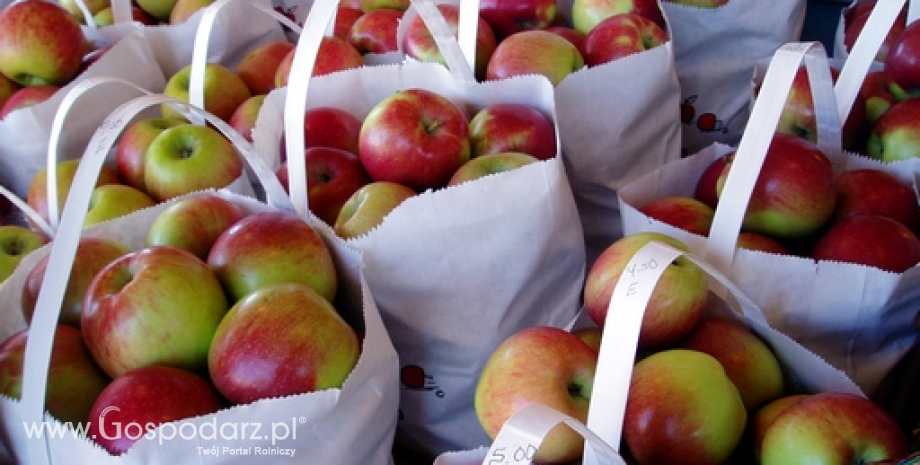 Wysokie ceny jabłek w UE we wrześniu br.