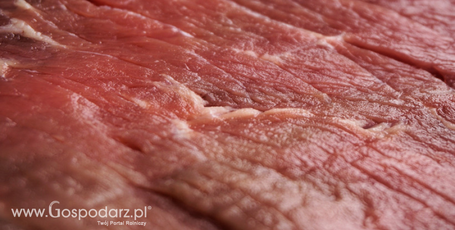 Ceny mięsa wołowego, wieprzowego i drobiowego (27.08.2017)