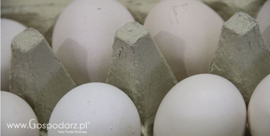 Przed Wielkanocą rośnie zapotrzebowanie na jaja i nowalijki