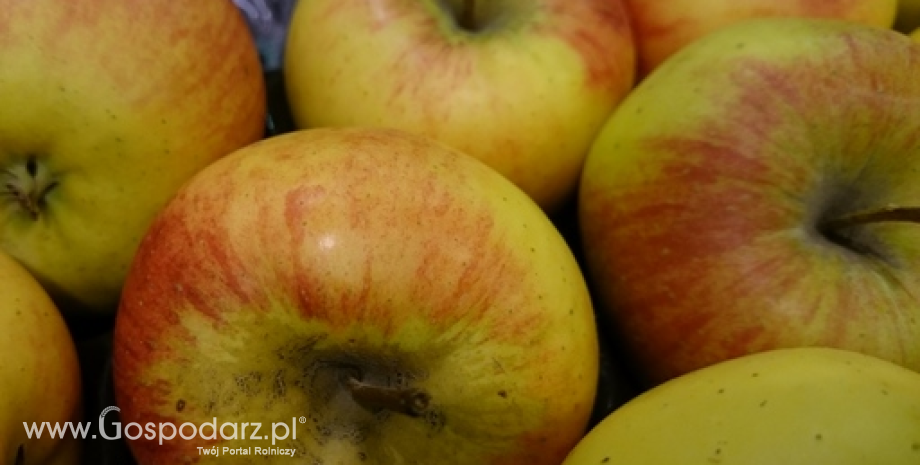 Dodatkowe limity na wycofanie jabłek