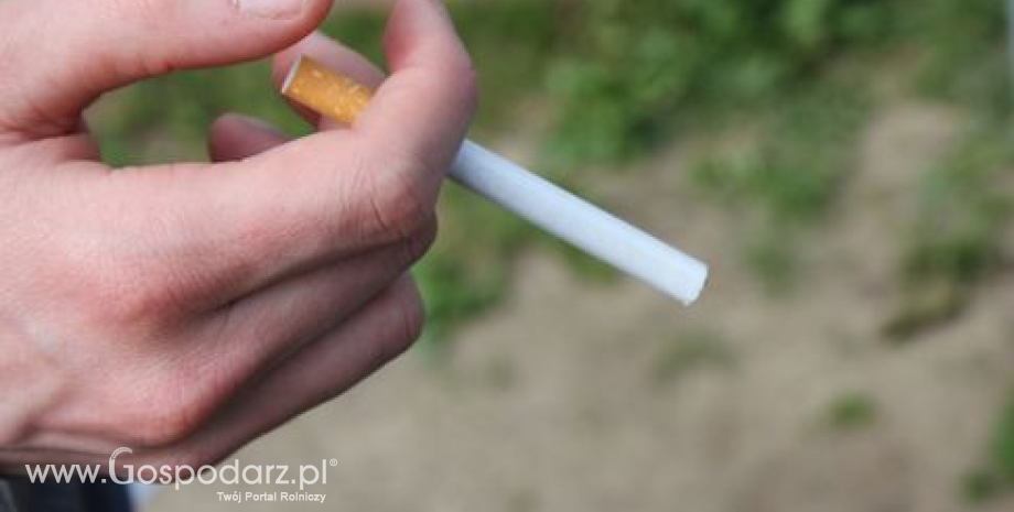 Zdaniem Polski dyrektywa tytoniowa jest niedoskonała