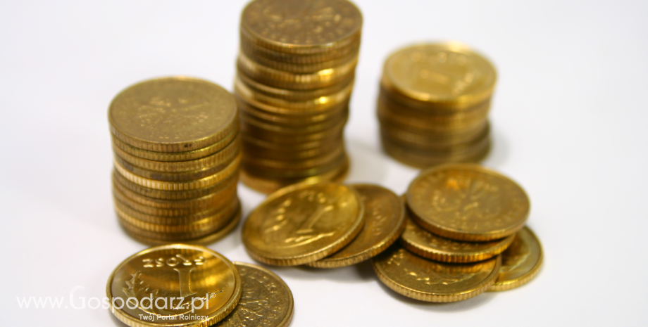 Narodowy Bank Polski chce wycofać monety 1gr i 2gr