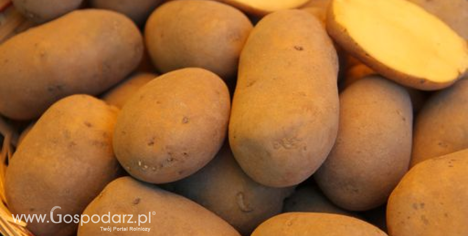Ceny ziemniaków w Polsce (20-30.04.2015)