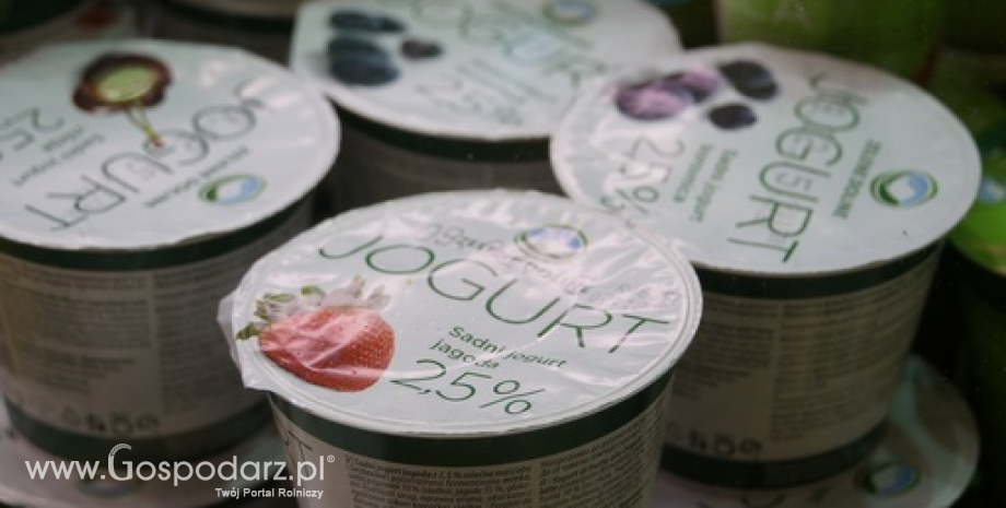 W 2015 r. polski eksport jogurtów, kefirów, napojów mlecznych spadł o 8% do 101 tys. ton