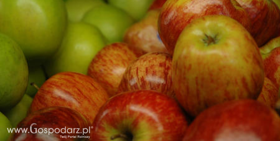 Ceny jabłek deserowych spadły do 0,80 zł/kg