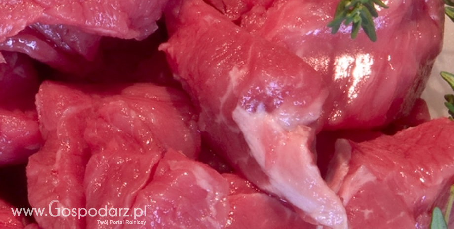 Kazachstan chce odbudować eksport mięsa wołowego