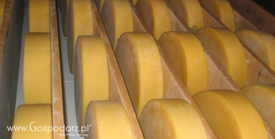 Ceny mleka, sera i masła w Polsce (15-21.09.2014)