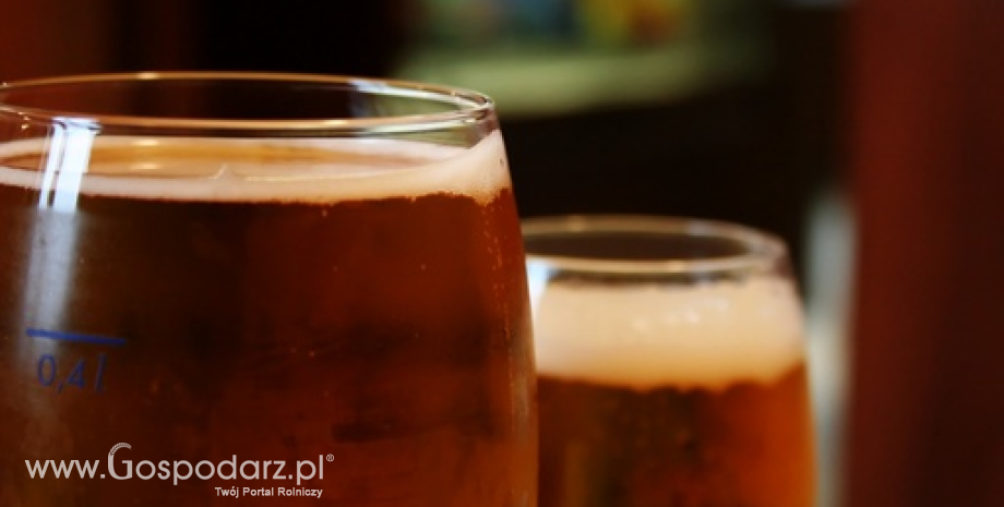 W 2014 r. wzrośnie spożycie piwa