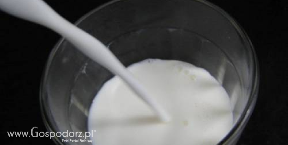 Spadek cen mleka w skupie w Polsce (maj 2013)