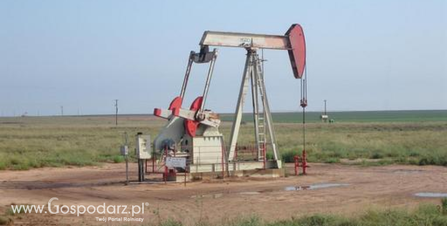 Wydobycie ropy w Polsce opłacalne pomimo niskich cen surowca