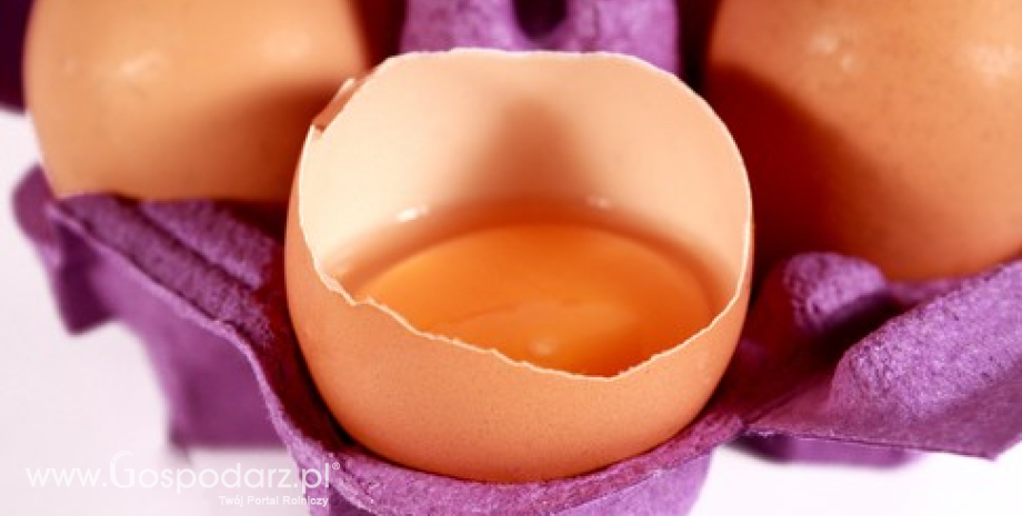 W kwietniu 2017 r. ceny jaj w UE prawie o 20% wyższe niż przed rokiem