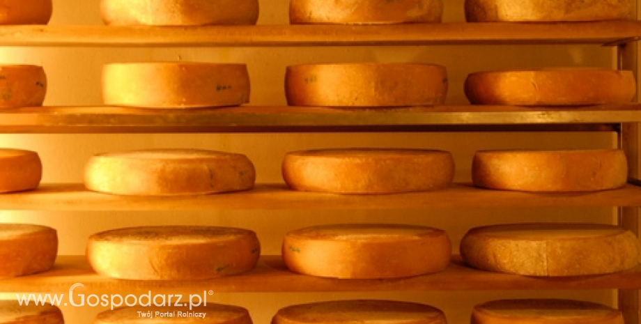 Ceny mleka, sera i masła w Polsce (16-22.12.2013)