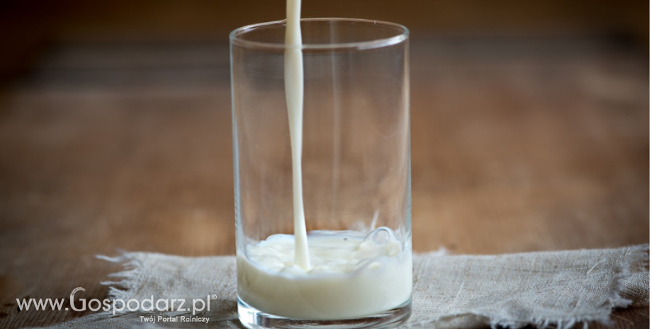 Prognoza cen mleka, masła i OMP do marca 2018 r.