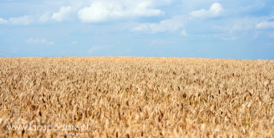 Zniesienie cła na ukraińskie towary wpłynie na polskie rolnictwo