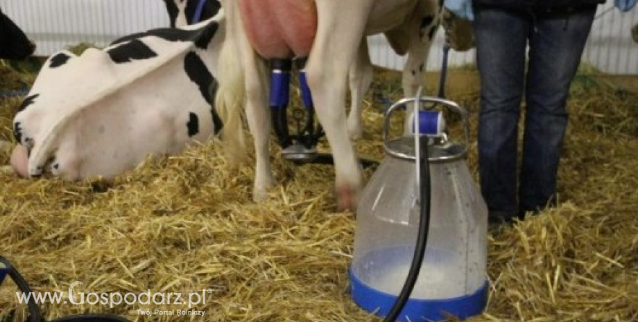 Wzrost produkcji mleka na świecie