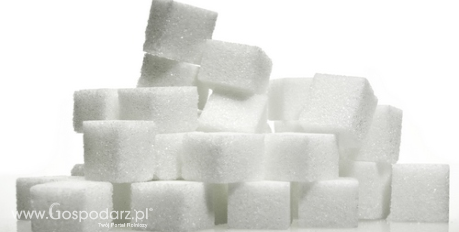 Niższy wolumen handlu zagranicznego cukrem