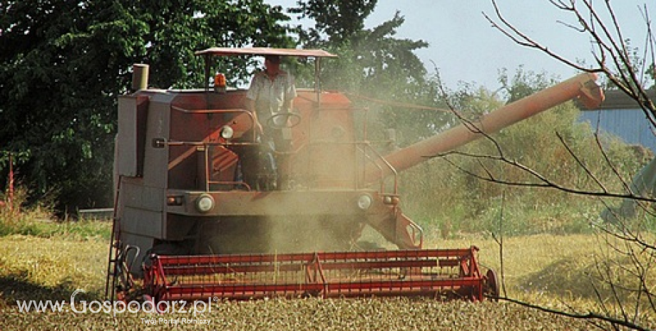 Coceral szacuje zbiory zbóż w UE na 307 mln ton