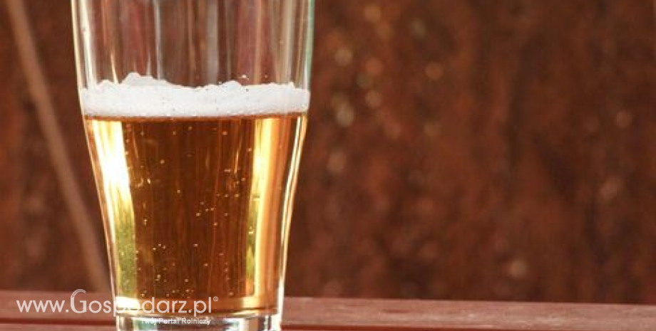 Browarnictwo – główne składniki piwa