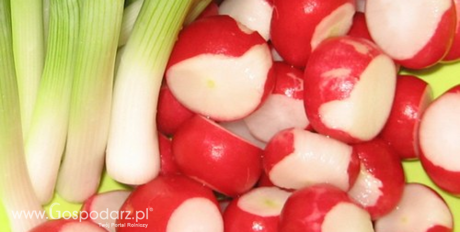 Ceny warzyw i pieczarek w Polsce (09-16.12.2014)