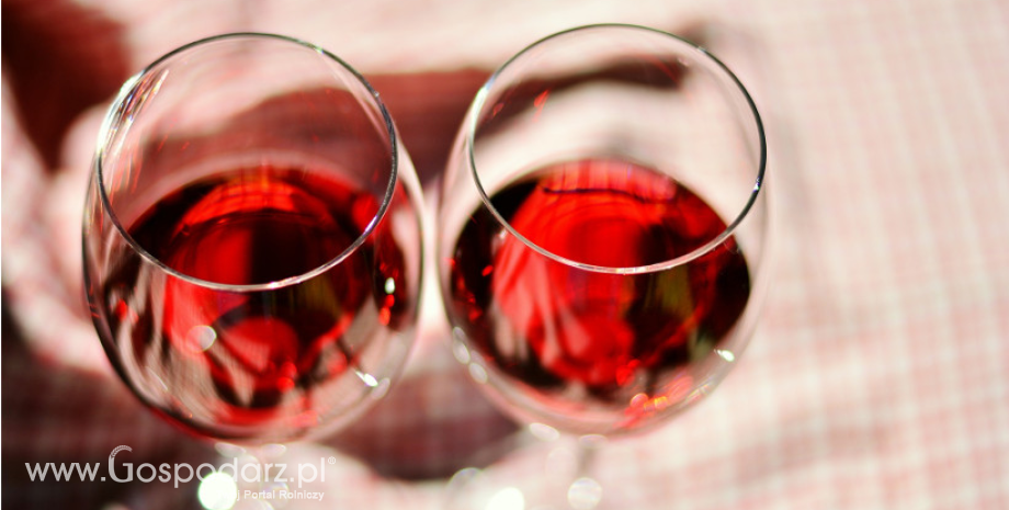 Wyniki kontroli fermentowanych napojów winiarskich