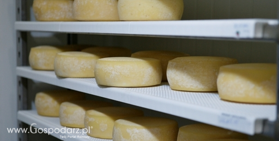 Unijny eksport sera wzrośnie pierwszy raz od nałożenia rosyjskiego embarga