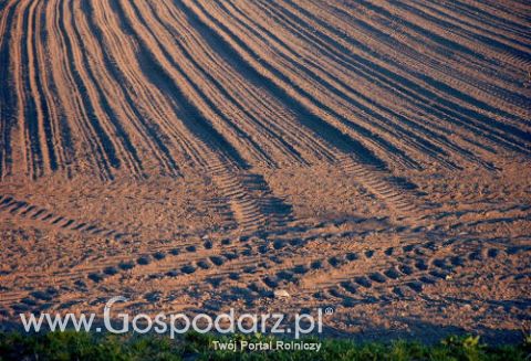 Ceny gruntów systematycznie rosną