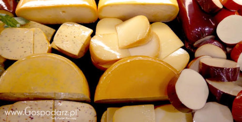Rynek serów w Europie
