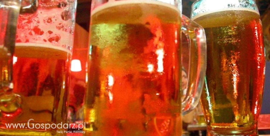 Niemcy – Mniejsze spożycie piwa