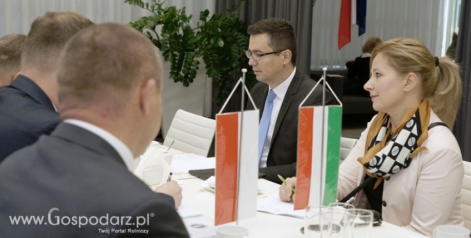 Rozmowy polsko-węgierskie na MTP