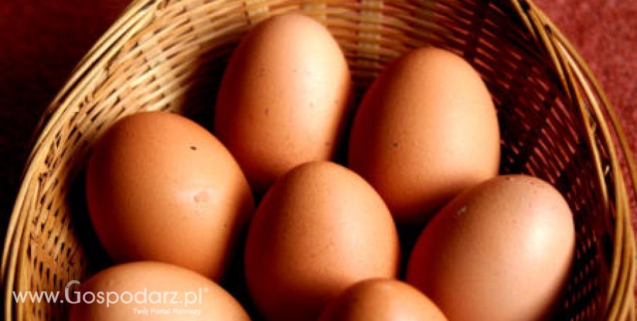 Ceny jaj mogą drastycznie wzrosnąć