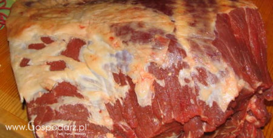 Argentyna – Spadek eksportu mięsa wołowego