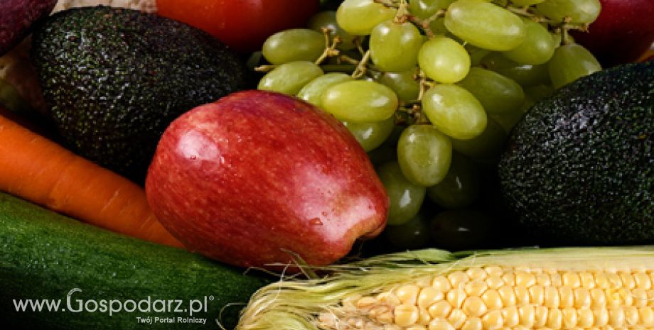 Propozycja Komisji odnośnie tymczasowych wyjątkowych środków wsparcia w sektorze owoców i warzyw,