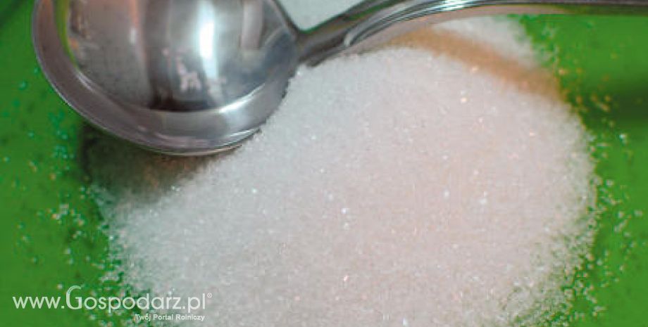 Ceny cukru na świecie są najwyższe od ponad trzydziestu lat