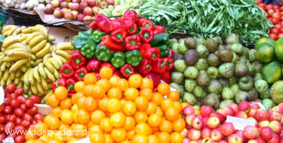 Rosja – Wzrost importu owoców i warzyw