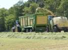 Zielone AGRO SHOW – POLSKIE ZBOŻA 2014 w Sielinku - sobota