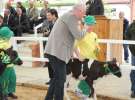 Mali Hodowcy VII Ogólnopolska Wystawa Bydła Hodowlanego w Sielinku 2012