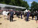 AGRO-TECH w Minikowie 2013