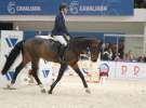 CAVALIADA 2013 w Poznaniu