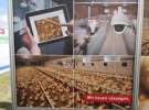 AGRO-TECH Minikowo 2014 - niedziela