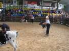 Młody Hodowca - Szepietowo 2012 XIX Regionalna Wystawa Zwierząt Hodowlanych