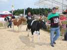 Superchampioni i championi Śląskiej Wystawy Bydła Mlecznego Opolagra 2011