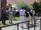 Zielone AGRO SHOW – POLSKIE ZBOŻA 2014 w Sielinku - sobota