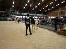 Wystawa  Blickpunkt Rind 2013 w miejscowości Paaren/Glien (Niemcy)