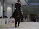 CAVALIADA 2013 w Poznaniu