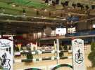 CAVALIADA 2013 w Poznaniu